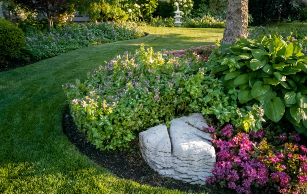 mulch bed